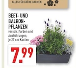 Marktkauf Gelsenkirchen Prospekt mit  im Angebot für 7,99 €