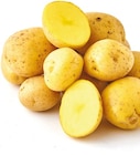 Aktuelle Kartoffeln Angebote bei Netto mit dem Scottie in Potsdam Aktuelles Speisefrühkartoffeln Angebot bei Netto mit dem Scottie in Potsdam ab 3,49 €
