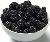 Brombeeren  im aktuellen Lidl Prospekt für 1,79 €