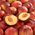 Nectarine jaune ou blanche FILIÈRE QUALITÉ CARREFOUR - Carrefour Nectarine jaune ou blanche FILIÈRE QUALITÉ CARREFOUR à 2,99 € dans le catalogue Carrefour