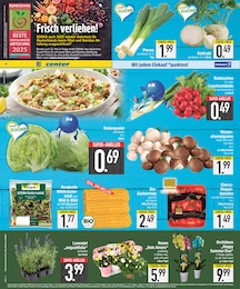 EDEKA Radieschen im Prospekt 