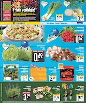 Aktueller EDEKA Prospekt mit Wild, "DAS BESTE DER WOCHE", Seite 6