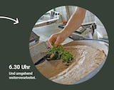 GLOBUS Spiesen-Elversberg - Angebot im Prospekt bei GLOBUS im Spiesen-Elversberg Prospekt für