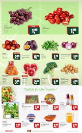 Äpfel im Markant Prospekt in Neumünster Aktueller Markant Prospekt mit Äpfel, "...freu Dich drauf!", Seite 6