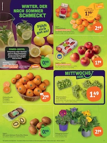 Pflanzen im tegut Prospekt "tegut… gute Lebensmittel" mit 23 Seiten (Nürnberg)