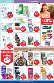 Tampons Angebote im Prospekt "drogeriemarkt" von BUDNI auf Seite 5