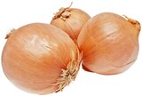 Speisezwiebeln im Angebot bei REWE in Bocholt Speisezwiebeln Angebote von REWE Regional bei REWE Bocholt für 0,79 €