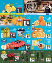 Weihnachtsstern im EDEKA Prospekt in Augsburg Aktueller EDEKA Prospekt mit Weihnachtsstern, "DAS BESTE DER WOCHE", Seite 3