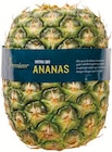 Ananas ohne Krone bei Netto mit dem Scottie im Burg Prospekt für 1,99 €