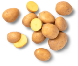 Speisekartoffeln im Angebot bei Kaufland in Iserlohn Speisekartoffeln Angebote von Bioland bei Kaufland Iserlohn für 1,79 €