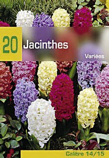 Aménagement Extérieur dans le catalogue Géant Casino 50 tulipes triomphe variées calibre 10/11 à 4,33 € en promo chez Géant Casino