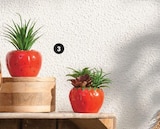 Plante artificielle fraise 16 cm en promo chez Super U Toulouse à 2,99 €