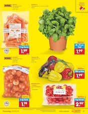 Ähnliche Balkonpflanzen Angebote im Prospekt "Aktuelle Angebote" von Netto Marken-Discount in Magdeburg Ähnliche Angebote wie Balkonpflanzen im Prospekt "Aktuelle Angebote" auf Seite 5 von Netto Marken-Discount in Magdeburg