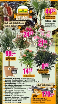 Blumentopf im Hornbach Prospekt "Du willst es. Dann bau es." mit 36 Seiten (Ulm)