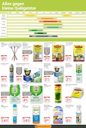 Aktueller GLOBUS Prospekt mit Zimmerpflanzen, "Aktuelle Angebote", Seite 19