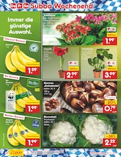 Aktueller Netto Marken-Discount Prospekt mit Blumen, "Aktuelle Angebote", Seite 47