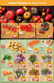 Blumen im REWE Prospekt in Bonn Aktueller REWE Prospekt mit Blumen, "Dein Markt", Seite 7
