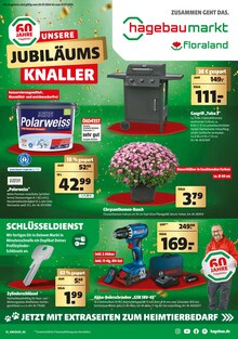 Aktueller Hagebaumarkt Prospekt "UNSERE JUBILÄUMS KNALLER" Seite 1 von 24 Seiten