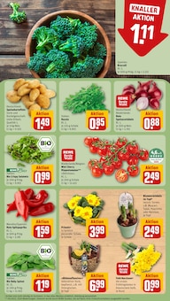 Paprika im REWE Prospekt "Dein Markt" mit 28 Seiten (Moers)