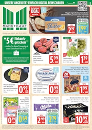 Marktkauf Prospekt "Top Angebote" für Otterndorf, 44 Seiten, 08.09.2025 - 13.09.2025
