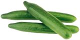Salatgurken aus den Niederlanden von Gut & Günstig für 0,49 € bei Marktkauf im Angebot Salatgurken aus den Niederlanden von Gut & Günstig im aktuellen Marktkauf Prospekt