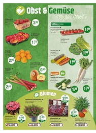 V-Markt Gemüse im Prospekt 