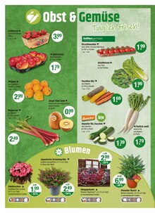 Obst im V-Markt Prospekt "V-Markt einfach besser einkaufen" mit 26 Seiten (München)