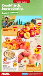 Pfirsiche Angebot im aktuellen Penny Prospekt auf Seite 4