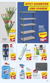 Aktueller combi Prospekt mit Blumen, "Markt - Angebote", Seite 27