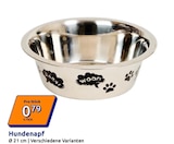Action Düren - Hundenapf Angebot im Prospekt Hundenapf bei Action im Düren Prospekt für 0,79 €