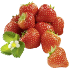 Aktuelles Unsere Heimat Erdbeeren Angebot bei Marktkauf in Stuttgart