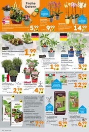 Salat Angebot im aktuellen Globus-Baumarkt Prospekt auf Seite 10