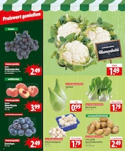 Aktueller famila Nordost Prospekt mit Tierfutter, "besser als gut!", Seite 4