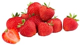 REWE Tittling - Bio Erdbeeren Angebot im Prospekt Bio Erdbeeren bei REWE im Tittling Prospekt für 3,99 €