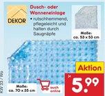 Dusch- oder Wanneneinlage im aktuellen Prospekt bei Netto Marken-Discount in Netzbach