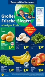 Saft im Lidl Prospekt in Göttingen Aktueller Lidl Prospekt mit Saft, "LIDL LOHNT SICH", Seite 12