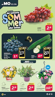 Netto mit dem Scottie Gägelow Prospekt der aktuellen Woche, gültig von 02.06.2025 bis 07.06.2025 Aktueller Netto mit dem Scottie Gägelow Prospekt "Günstig. Besser. Für Dich." mit 42 Seiten