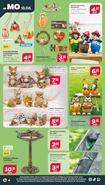 Aktueller Netto mit dem Scottie Prospekt mit Gartenzwerg, "Günstig. Besser. Für Dich.", Seite 20