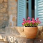 Pot terre cuite Matera - HYBA à 6,99 € dans le catalogue Carrefour