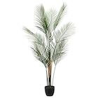 Kunstpflanze von  im aktuellen POCO Prospekt für 24,99 €