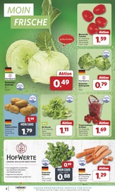 Tomaten im combi Prospekt in Dülmen Aktueller combi Prospekt mit Tomaten, "Markt - Angebote", Seite 2