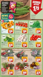 Ähnliche Zitronenbaum Angebote im Prospekt "Dein Markt" von REWE in Mettmann Ähnliche Angebote wie Zitronenbaum im Prospekt "Dein Markt" auf Seite 7 von REWE in Mettmann