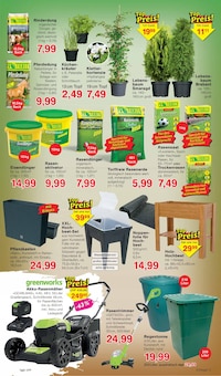 Kräuter im Jawoll Prospekt "Sonderposten-Märkte" mit 16 Seiten (Düsseldorf)