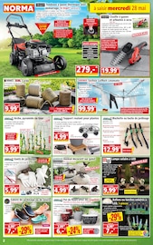 Chaussures Angebote im Prospekt "Votre Discounter Régional" von Norma Chaussures Angebote im Prospekt "Votre Discounter Régional" von Norma auf Seite 2