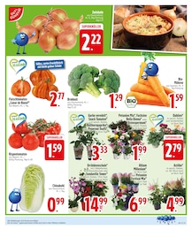 EDEKA Kochtopf im Prospekt EDEKA Kochtopf im Prospekt