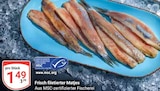 Frisch filetierten Matjes im Angebot bei GLOBUS in Gera Frisch filetierten Matjes Angebote bei GLOBUS Gera für 1,49 €