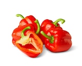 Rote Paprika im aktuellen Penny Prospekt
