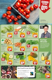 REWE Staudensellerie im Prospekt 