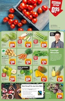 Tomaten im aktuellen REWE Prospekt (München) Tomaten im REWE Prospekt "Dein Markt" mit 32 Seiten (München)
