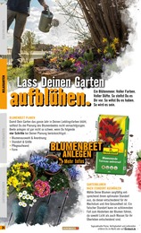 Blumenerde Angebot im aktuellen Hornbach Prospekt auf Seite 24